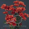 Pompon Harley Red