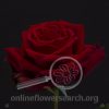 Rose Game Over