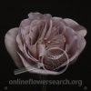 Rose Cafe Latte